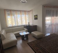 Living room with wood-patterned flooring, a corner sofa, and a carpet in a two-room apartment.