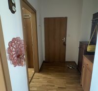 A hallway in a 2-room apartment with a wooden decor floor and a coat rack.