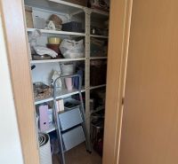 Storage space in a 2-room apartment includes shelves with various items and a folding ladder.