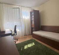 Bedroom with a bed, desk, and wooden decor flooring in a two-room apartment.