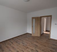 Interior of commercial spaces with white walls and wood-patterned flooring.