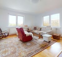 Living room in a family house with a wooden decor floor, carpet, and furniture.