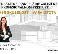 A real estate agency advertisement focusing on the power of a professional approach.