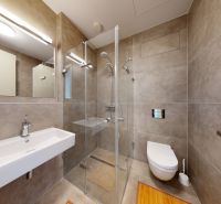Bathroom in a 2-room apartment with a large mirror and a shower corner.