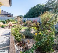 The garden of a family house in Bajč with flowers and ornamental plants.