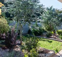 The garden of a family house in Bajč with diverse greenery and manicured plants.