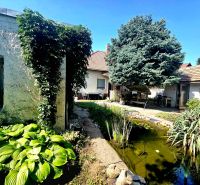The garden of a family house on Murgašova Street in Šaľa with a pond and greenery.
