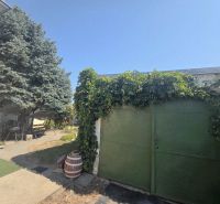 A family house on Murgašova Street in Šaľa with a garage covered in climbing plants and a large tree.