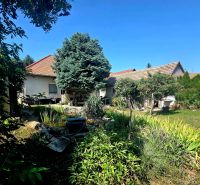 The garden of a family house on Murgašova Street in Šaľa with trees and a pond.