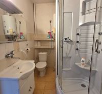 A bathroom in a family house with a toilet, sink, and shower, with light tiles.