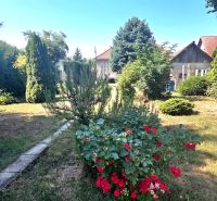 The garden of the family house on Murgašova Street in Šaľa with flowers and greenery.