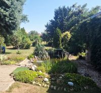 The garden of a family house on Murgašova Street in Šaľa with a pond and greenery.
