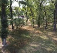 A wooded area on the Recreational Grounds in Piešťany offers a quiet natural environment.