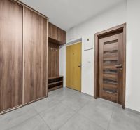 Entrance hall in a 2-room apartment with wood-patterned flooring and storage spaces.