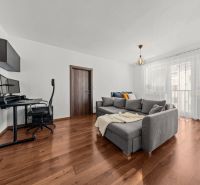 Living room with a sofa, desk, and wood-patterned floor in a two-room apartment.