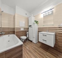 Bathroom in a 2-room apartment with tiles and flooring featuring a wood design.