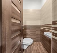 Bathroom with wood-patterned flooring and ceramic tiles, 2-room apartment.