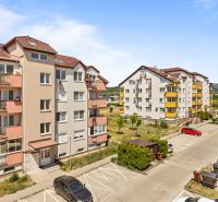 On Dona Sandtner Street in Pezinok, there are apartment buildings with parking spaces in front of the 2-bedroom apartments.