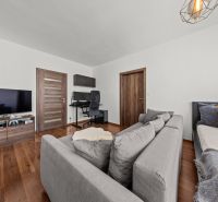 Living room with a sofa, TV, and a work corner in a 2-room apartment.