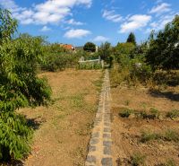 A garden at a family house on Ľaliová Street in Topoľčany with fruit trees and a walkway.