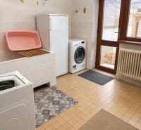 Laundry room in a family house with a washing machine, freezer, and sink with a countertop.