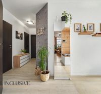 The entrance hall in a 3-room apartment with a wooden decor floor and houseplants.