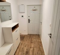 A hallway in a 2-room apartment with a floor featuring a wood decor and white walls.