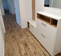 A hallway in a 2-room apartment with a wardrobe and a floor with a wooden decor.