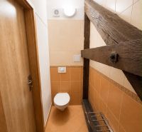 Toilet with wooden decor, ceramic tiles, wooden beams, 3-room apartment.