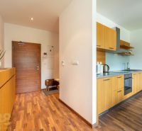 A kitchen unit in a holiday apartment with a wooden decor floor and minimalist furniture.