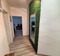 A hallway in a 3-room apartment with a wooden decor floor and a vertical garden.