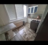 A kitchen in a 3-room apartment with a wooden decor floor and fresh elements.