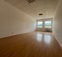 Empty offices with wood-patterned flooring and two windows.