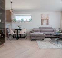 Interior of a family house with a wooden decor floor, a comfortable sofa, and a dining table.