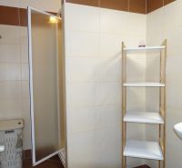 A bathroom in a two-room apartment with a shelf and a shower corner, tiles in brown tones.