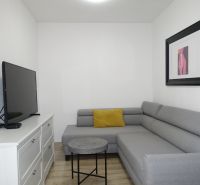 Living room in a two-room apartment with a sofa, television, and wooden decor flooring.