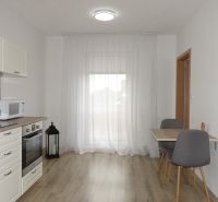 Kitchen corner with equipment, table, and chairs, floor with wooden decor in a 2-room apartment.