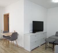 Living room in a 2-room apartment with a television, gray couch, and wood-patterned flooring.