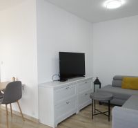 Living room in a two-room apartment with a TV, sofa, and wooden decor flooring.