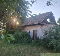 A family house in Malé Kosihy with an abandoned garden surrounded by lush greenery.