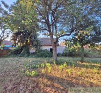 A family house in Malé Kosihy surrounded by trees, grass, and natural vegetation.