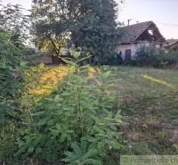 An overgrown plot of land near a family house in Malé Kosihy with lush vegetation.