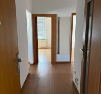 A hallway with a wooden decor floor leading to the rooms in a 3-room apartment.