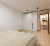 Bedroom with a wardrobe and a bathroom in a 4-room apartment, floor with wood decor.