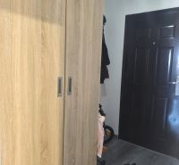 Entrance hall in a 3-room apartment with a wood-patterned floor and dark doors.