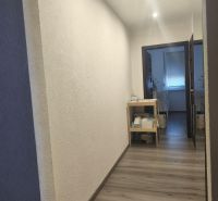 A hallway in a 3-room apartment with a wooden decor floor and lighting.