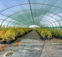 A greenhouse with plants in plastic containers on Kopanice Street in Krupina.