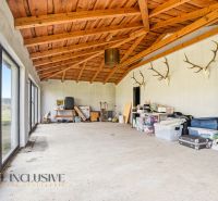 Estimating storage space in a family house with a wooden ceiling and trophies.