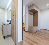 The hallway in a 3-room apartment with a wooden decor floor and a bathroom with a sink.