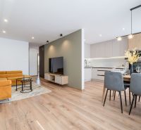 Bright living space with kitchen, wooden decor flooring, 3-room apartment.